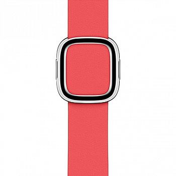 Ремешок Apple 40mm Peony Pink Modern Buckle Band Medium