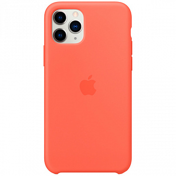 Чехол для iPhone Apple iPhone 11 Pro Silicone Case Clementine (Orange)