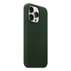 Чехол для смартфона Apple iPhone 13 Pro Leather Case with MagSafe, зелёная секвойя