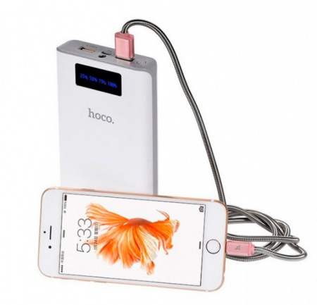 Портативное зарядное устройство Hoco B3 20000 mAh
