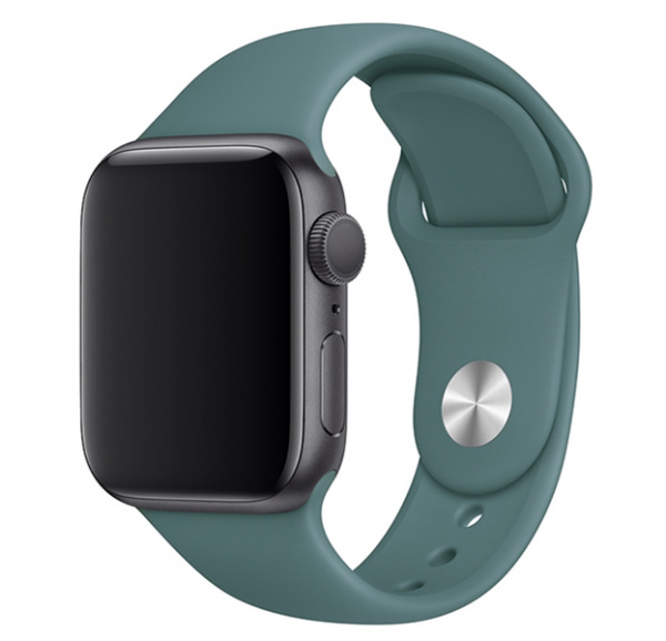 Ремешок для Apple Watch 38/40 mm Sport Band цвета полыни