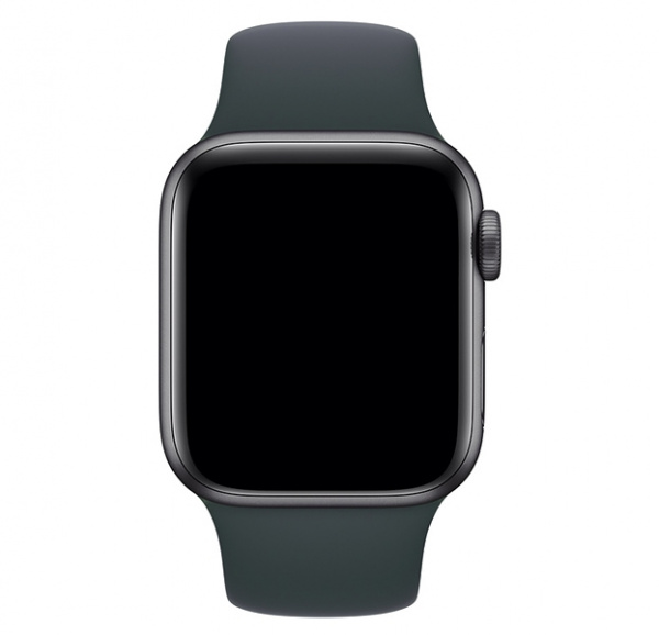 Ремешок цвета дымчатой сосны для Apple Watch 38/40 mm Sport Band
