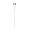 Кабель для iPod, iPhone, iPad Apple Lightning - USB-C Cable 1 метр