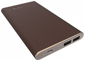 Портативное зарядное устройство Energizer Power Bank UE10009 10000 mAh Leather dark brown